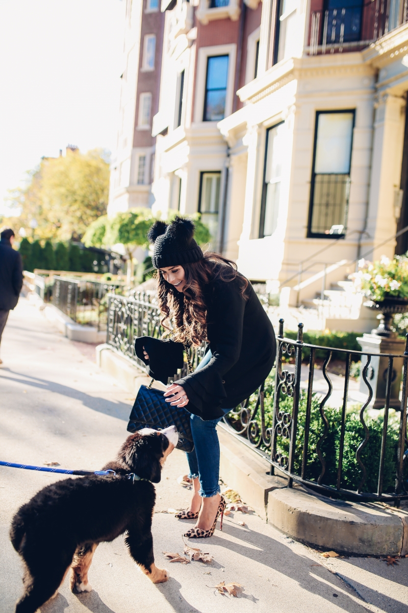 The Sweetest Thing, Emily Gemma, Emily Ann Gemma, Blue Jeans, Animal Print Stilettos, Black Cardigan LV Belt, Chanel Handbag, Fashion Blogger, Winter Trends, Fall Trends, Streetstyle, Casual outfit, long hair. #fashionblogger #falloutfit #fallfavorite