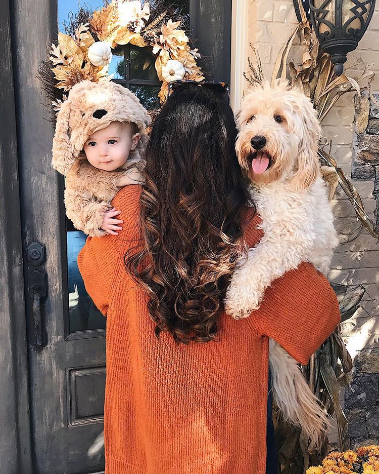 cute baby halloween costumes, cute dog baby photos halloween, goldendoodle costume,