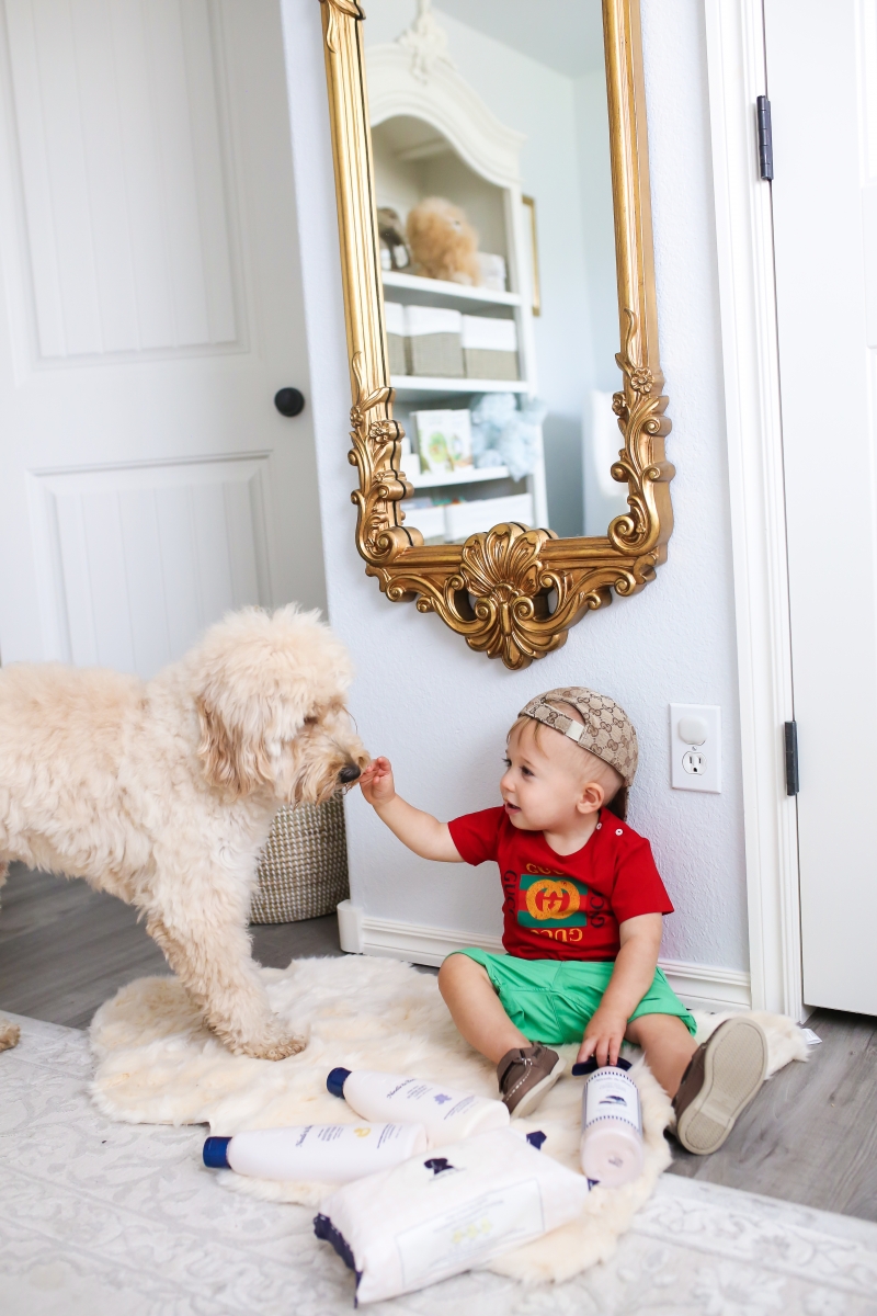 Golden doodle puppy and baby photos, mini golden doodle and baby pictures, Baby Boy Nursery Pinterest, Nordstrom Anniversary Sale 2018 best baby products, baby boy fashion instagram, Cute baby boy fashion, baby boy gucci outfits, baby boy gucci baseball cap