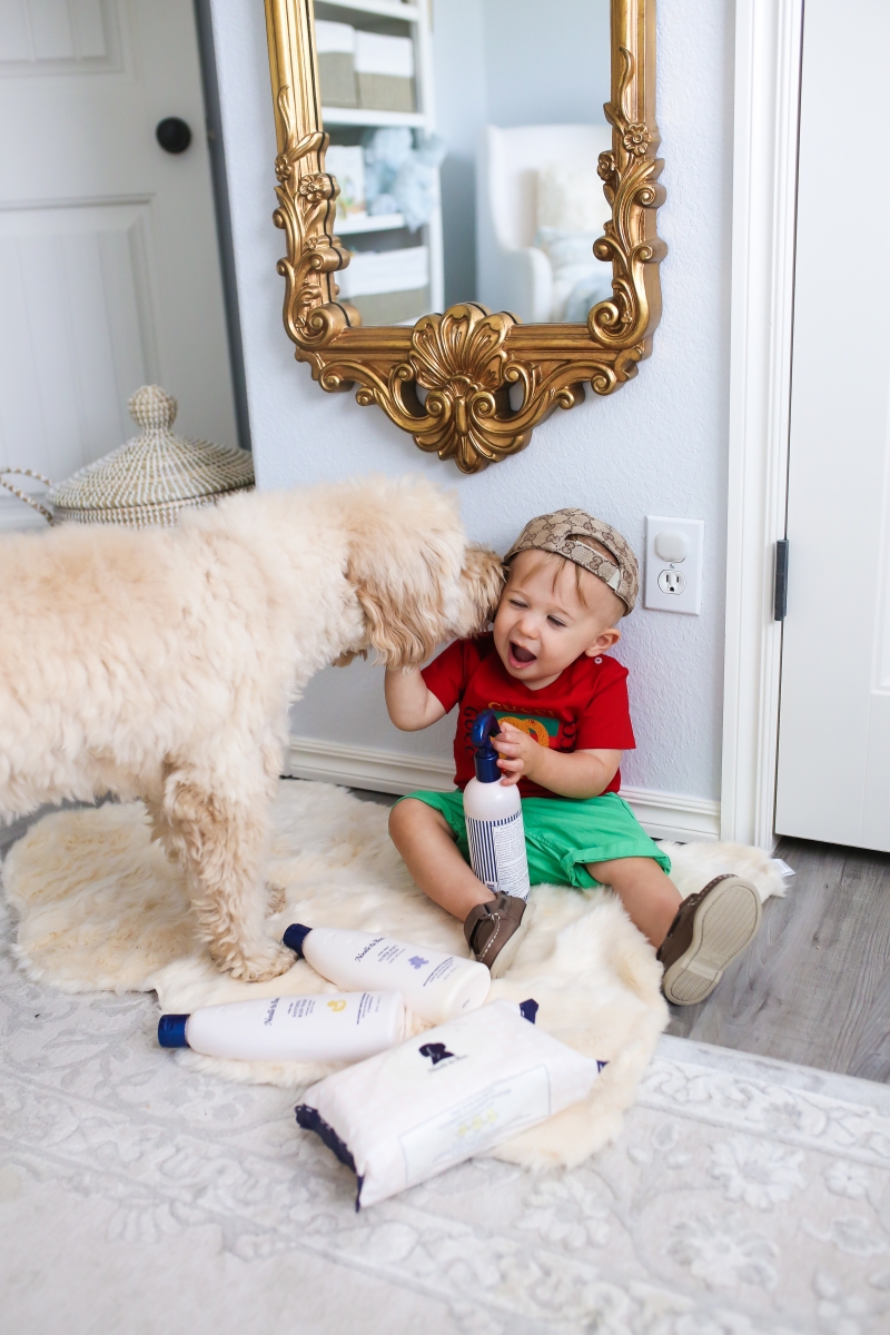 Golden doodle puppy and baby photos, mini golden doodle and baby pictures, Baby Boy Nursery Pinterest, Nordstrom Anniversary Sale 2018 best baby products, baby boy fashion instagram, Cute baby boy fashion, baby boy gucci outfits, baby boy gucci baseball cap