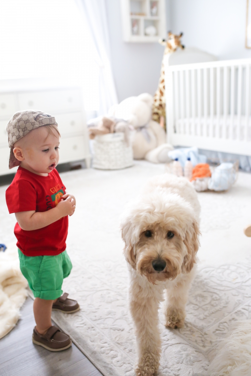 Golden doodle puppy and baby photos, mini golden doodle and baby pictures, Baby Boy Nursery Pinterest, Nordstrom Anniversary Sale 2018 best baby products, baby boy fashion instagram, Cute baby boy fashion, baby boy gucci outfits, baby boy gucci baseball cap