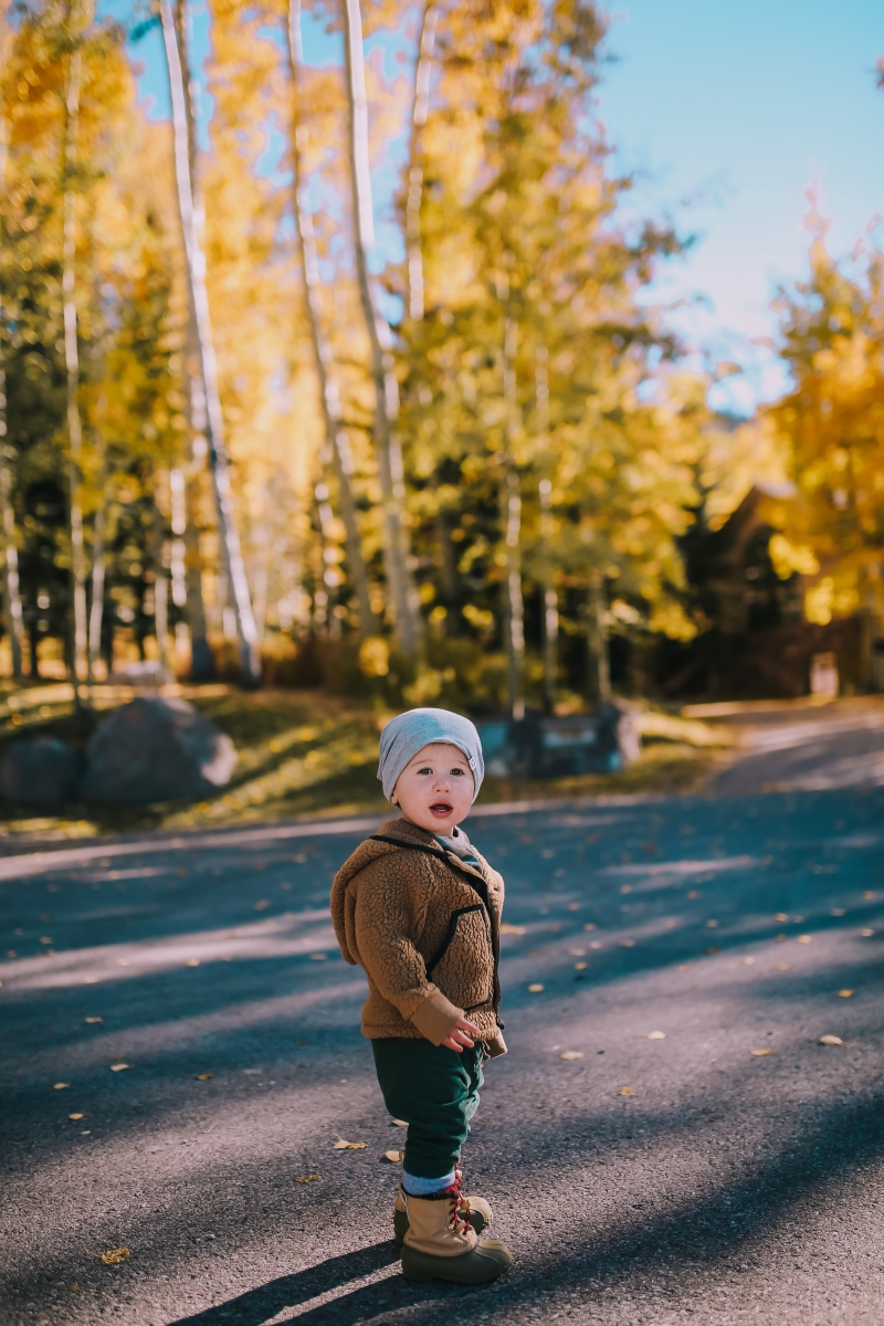 fall fashion pinterest 2018, teddy bear pullover half zip fall 2018, baby boy fashion pinterest fall, baby boy patagonia hipster outfit fall pinterest 2018, emily ann gemma