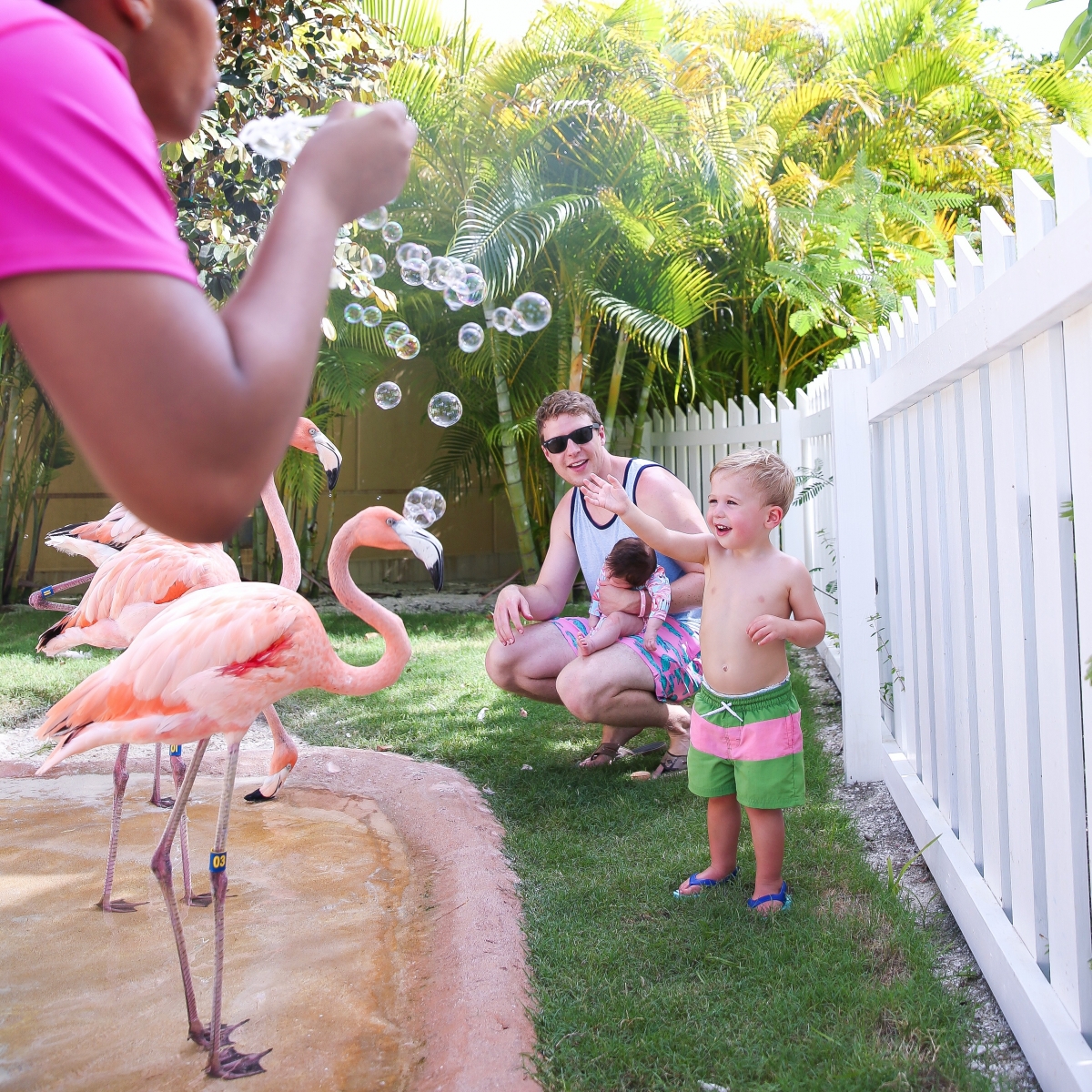 Bahamar review, emily ann gemma, the sweetest thing blog, bahamas travel blogger