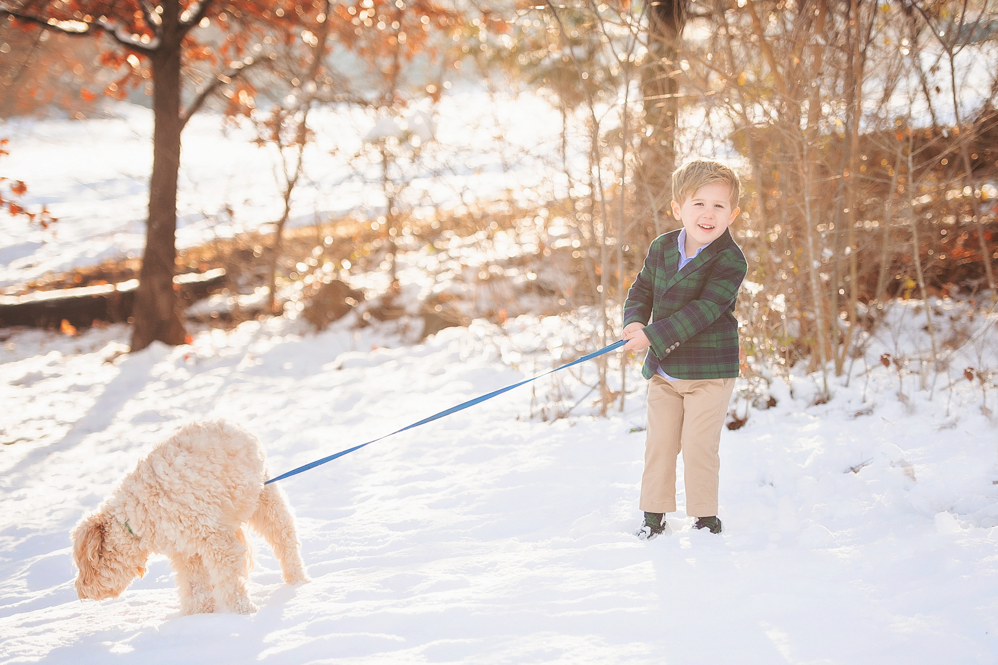 Family Christmas Card by popular US lifestyle blog, The Sweetest Thing: image of a young boy wearing a blue and green plaid blazer and tan pants while standing in the snow snow and holding his dog's leash. 