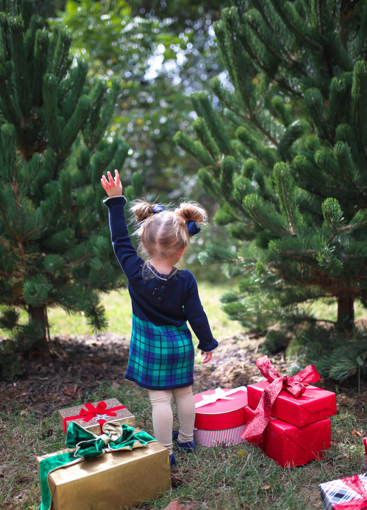 Holiday Card Photos with Janie & Jack 🎄 The Sweetest Thing