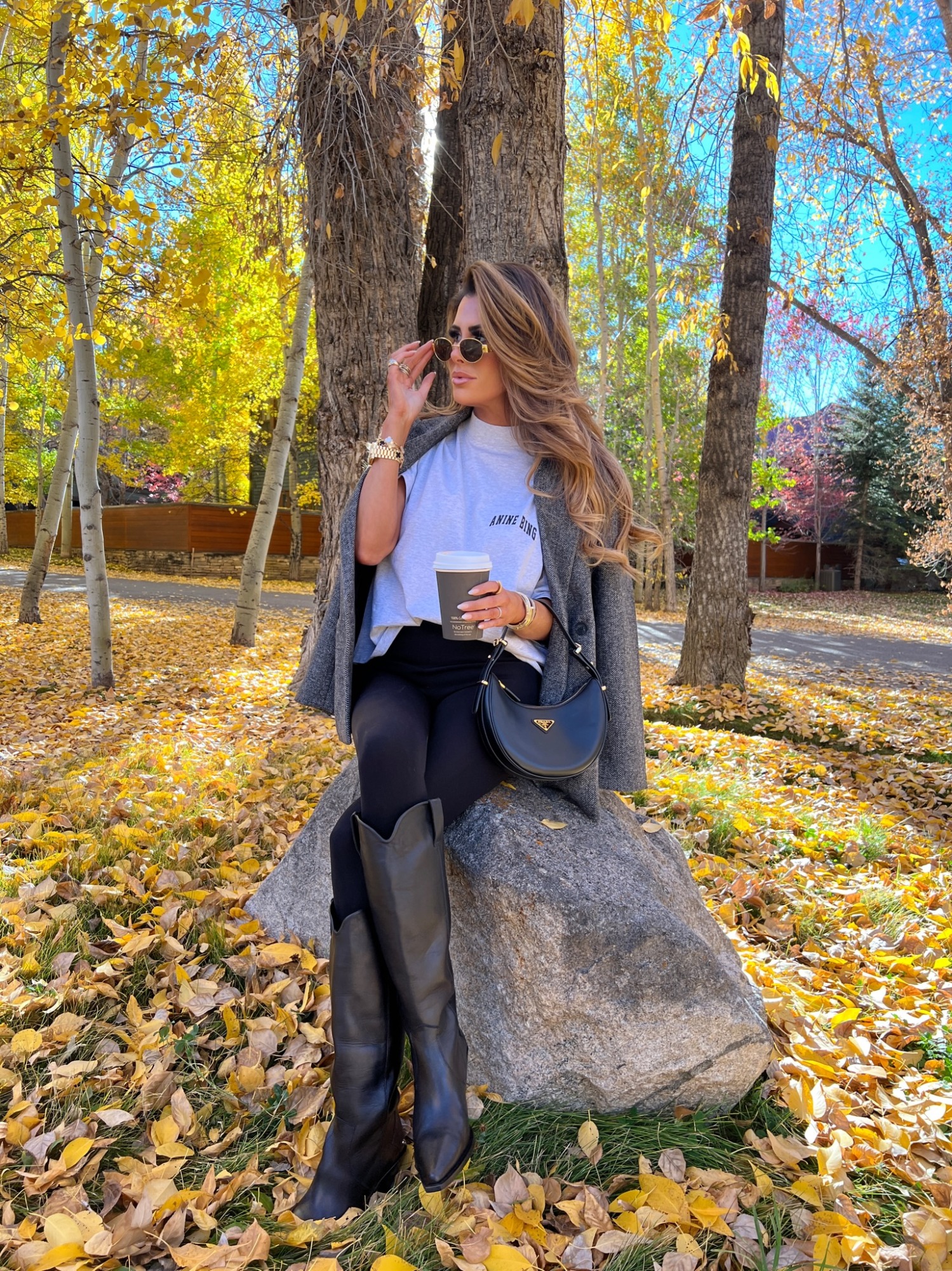 Prada Arque Leather Shoulder Bag, Anine Bing Palmer Tee, Celine Triomphe Round Metal Sunglasses, Anine BIng Tall Tania Boot, Emily Ann Gemma